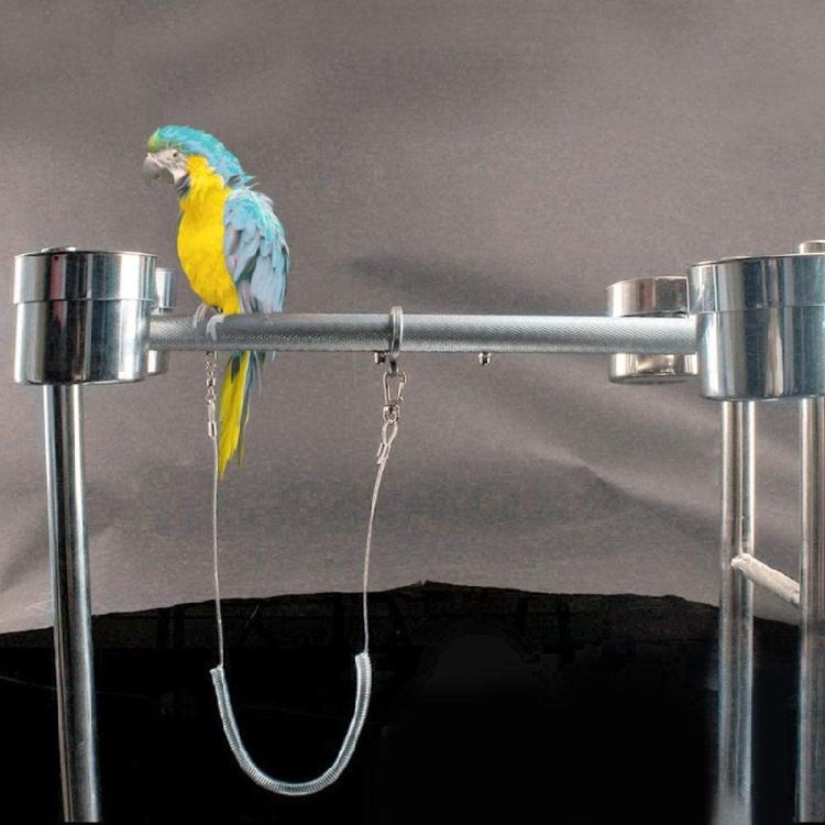 Parrot Bird Leash Outdoor Flying Harness Training Rope Anti Bite Easy Carry