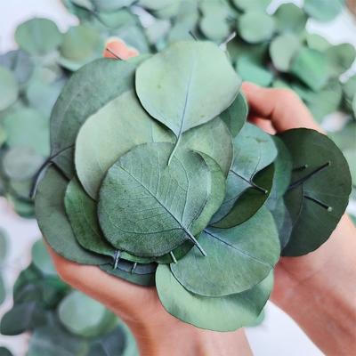 100g Dried Real Eucalyptus Leaves Green Leaves 100% Natural Silver Dollar Eucalyptus for Wedding DIY Wreath Baby Shower Cake Decor(About 200PCS)