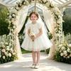 Korean Style High Waist Princess Dress for Baby Girl's First Birthday - Puffy Skirt & Wedding Flower Girl Design