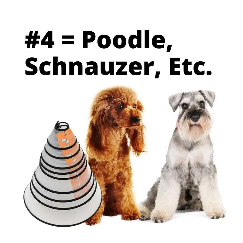 Pet Elizabeth Collar Puppy Anti Bite Grasping Collar for Small Large Dogs Recovery Cone Ring Cats Neck Wound Healing Accessories