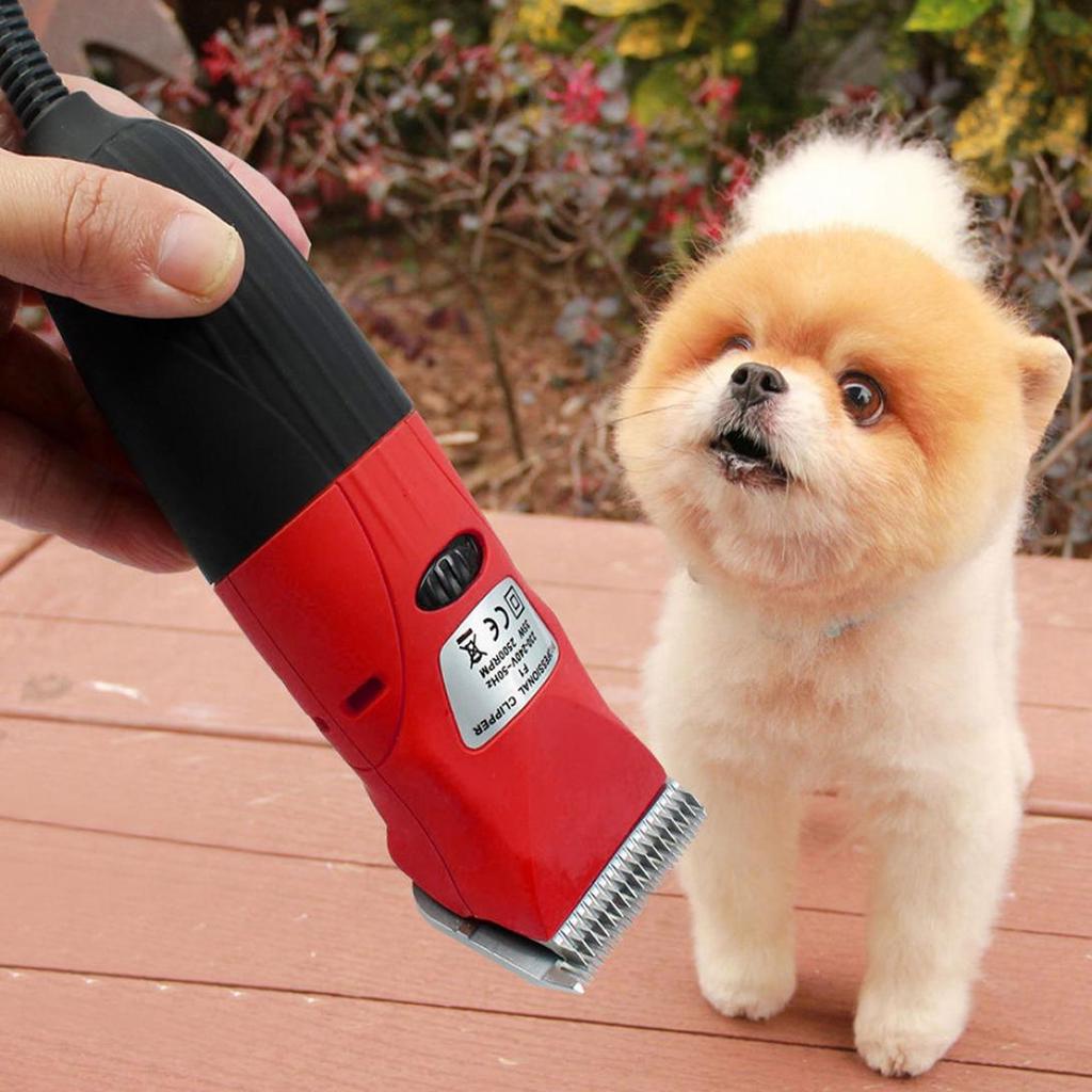 enjoy pet dog clippers reviews