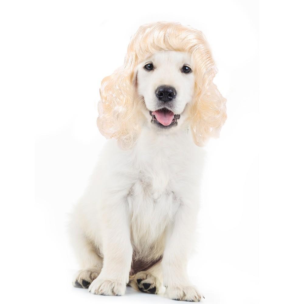 Elegante goldene Licht lange gewellte Haustierperücke Hut für Hunde und Katzen Perfekt für saisonale Partys