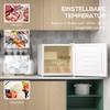 Mini Congelatore, Scatola Congelatore da 35 L, Controllo della Temperatura a 5 Livelli, Bianco