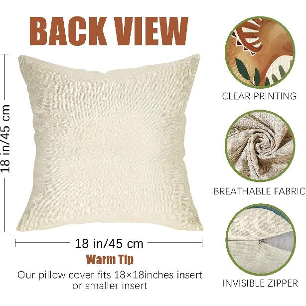 Fahrendom Boho Dinosaur Rawr Decorative Throw Pillow Covers 18 x 18 Set of 4, Bohemian Dino Stay Curious Porch Patio Outdoor Pillowcase, Sun Rainbow
