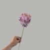 Van Gogh Wheat Field King Protea Artificial Flowers - Wedding & Home Decor Collection