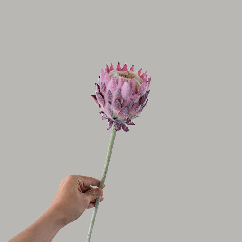 Van Gogh Wheat Field King Protea Artificial Flowers - Wedding & Home Decor Collection