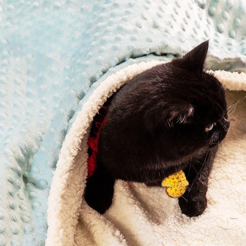 Universal Pet Blanket for Cats and Dogs Soft Warm for Cuddling Anti Cold Cozy Bed Cover Machine Washable Pet Mat for Kennel