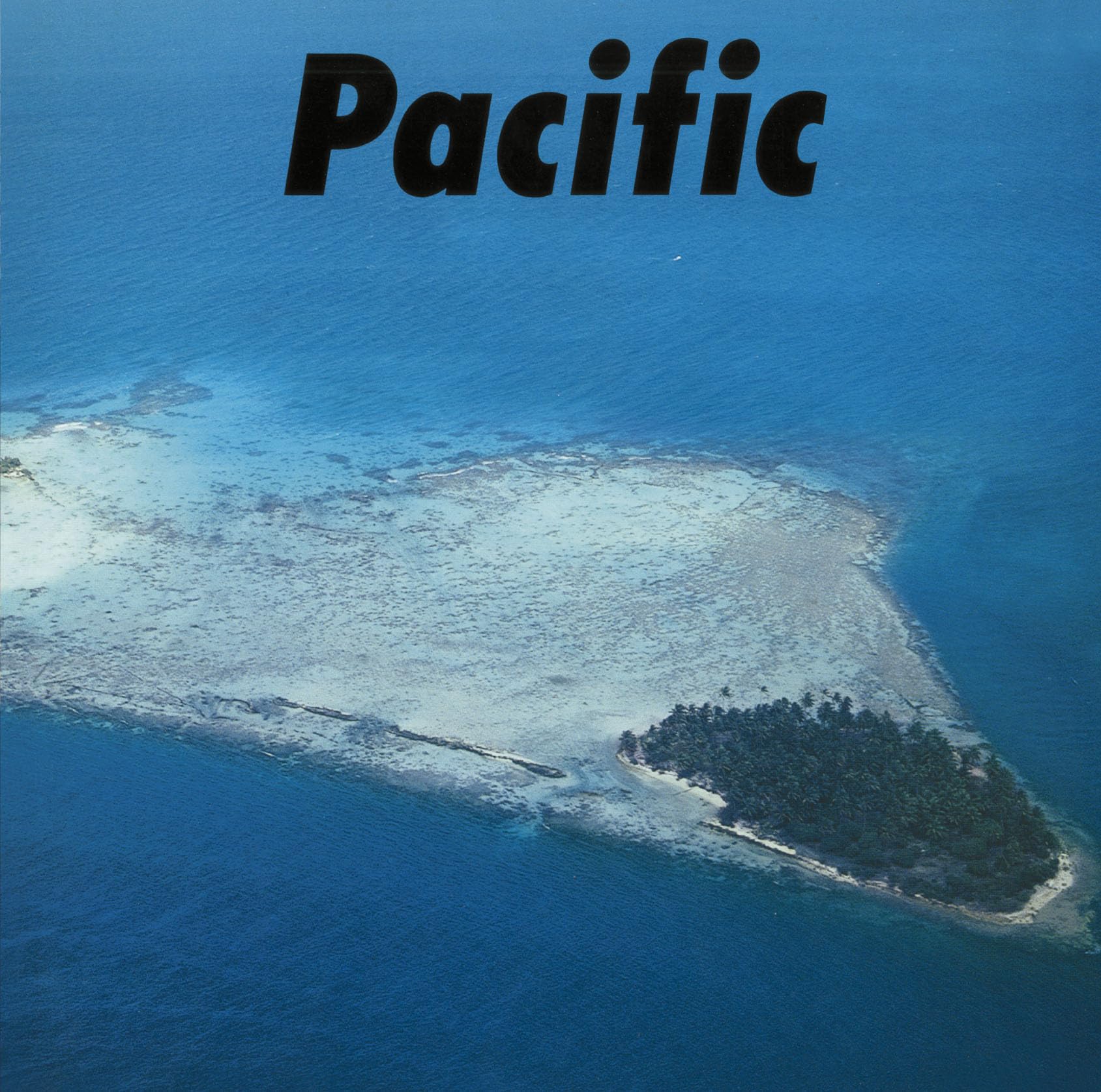 

PACIFIC Mega (Limited Edition) (Analog Edition) (with Jacket) [Analog]