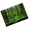 PVC Adhesive Underwater Forest Tank Background Poster Backdrop Decoration Paper