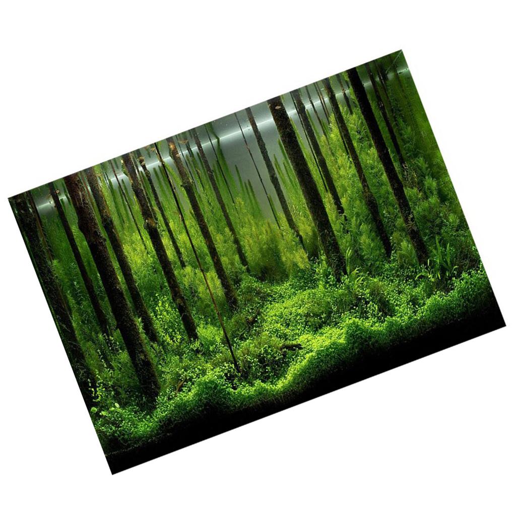 PVC Adhesive Underwater Forest Tank Background Poster Backdrop Decoration Paper