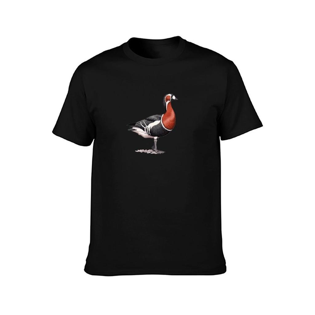 Redbreasted Goose TShirt Creative Graphic Tee Shirt