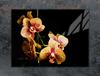 SZKLANA PŁYTA OCHRONNA NA KUCHENKĘ 70x52 ORCHIDEA