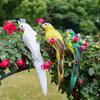 25/35cm handcrafted simulated creative parrot feather lawn small statue decoration animal bird garden bird accessory decoration