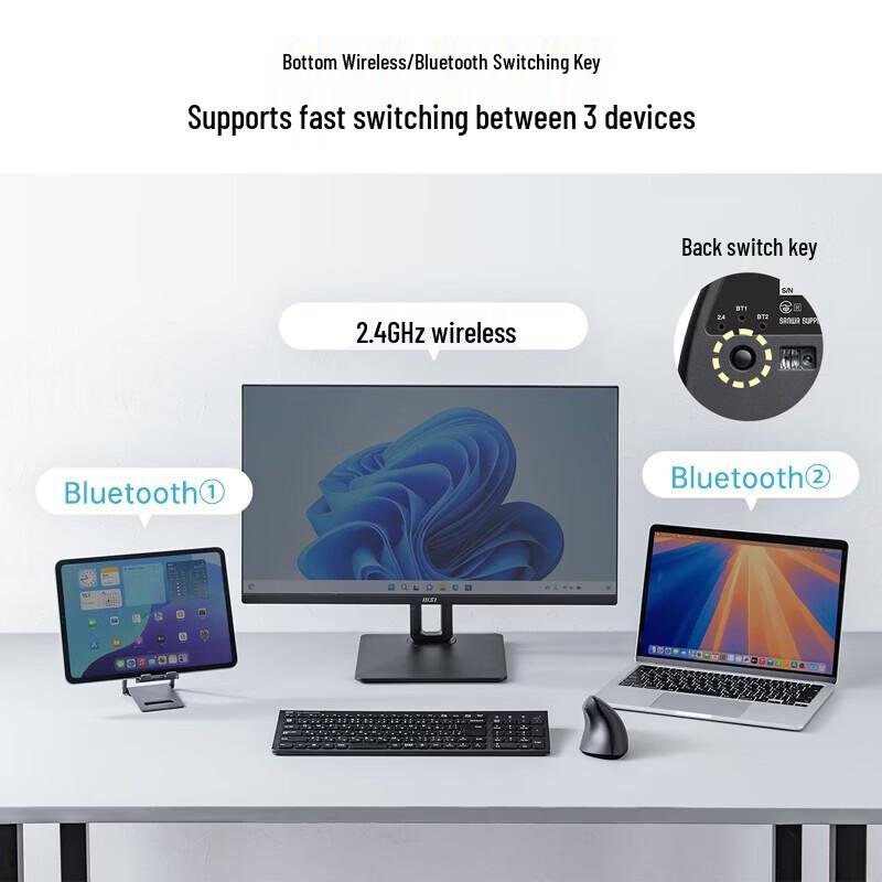 SANWA Ergonomic Lightweight Wireless Mouse