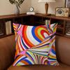 E-Emilio P-Pucci Logo Fashion  Cushion Cover Inches Farmhouse Decor Home Throw Pillow Covers for Couch Decorations