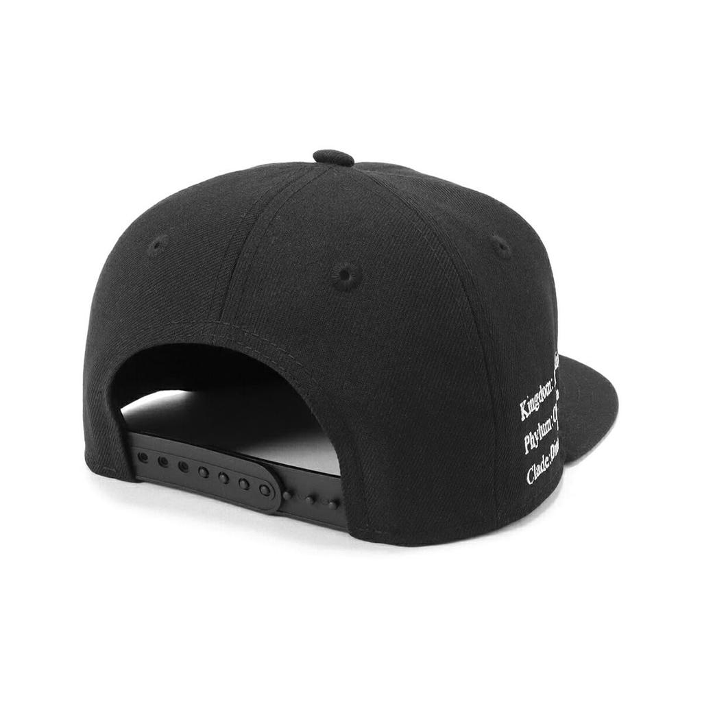 New Era New Era Kids Cap Tyrannosaurus Dinosaur YOUTH 950 TYRANNOSAURUS BLK Black/Front YOUTH52-56cm
