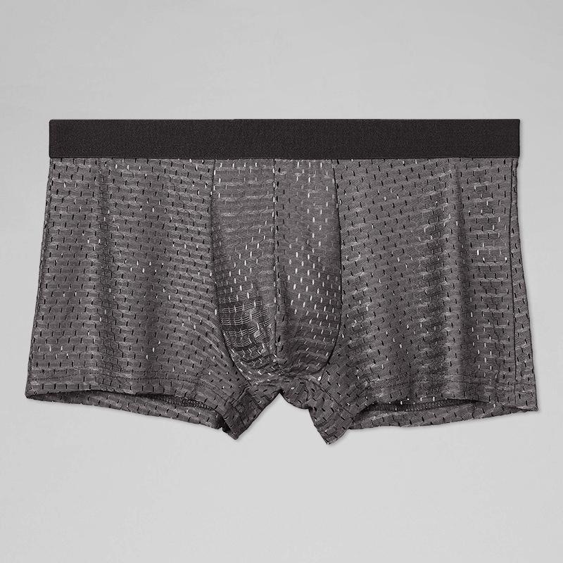Men's Ice Silk Mesh Breathable Boxer Briefs - Transparent, Sexy, Summer Thin