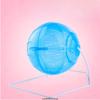 Hamster Sport Ball Play Toys Hamster Sports Fitness Running Ball Funny Pet Toy for Mini Animals Pet Exercise Accessories