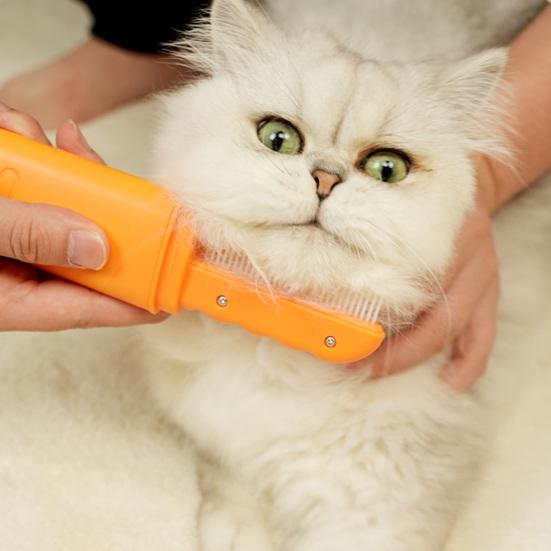 Hřeben na úpravu srsti 2 v 1 Rozčesávač Masážní hřeben Snadné skladování Pohodlné držení Multifunkční Odolný hřeben pro domácí mazlíčky