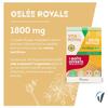 Nutrisanté gelée royale bio 1800mg Lot de 3x10 ampoules