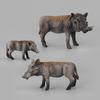 Simulation Animal Toys Wild Animals Wild Boar Boar Static Animal Boutique Model Ornament Doll Toy