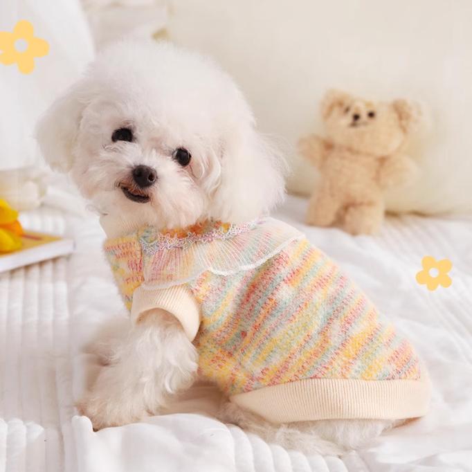 Pull Tricoté pour Chien avec Bordure en Dentelle Vêtements Chauds Automne Hiver pour Petits Chiens Teddy Bichon Spitz Pomeranian Gilet Confortable pour Animaux de Compagnie pour un Usage Quotidien
