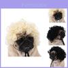 Adorável Peruca Preta Para Animal de Estimação Com Estilo Afro Divertido Para Festas de Halloween e Festivais