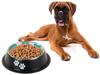 Dog Bowl Two Paws 30 (100) Gab_A