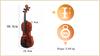 MM-VN100 SonataVibes 3/4 Violin