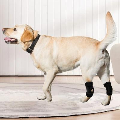 Verstellbare Gelenkschutzhüllen für Haustiere Bequeme atmungsaktive Hunde-Kniebandage Hinterbeinbandage Hunde-Kniepolster Beinverletzungs-Pflege