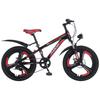 PHOENIX Chaoyue II Kids' Mountain Bike