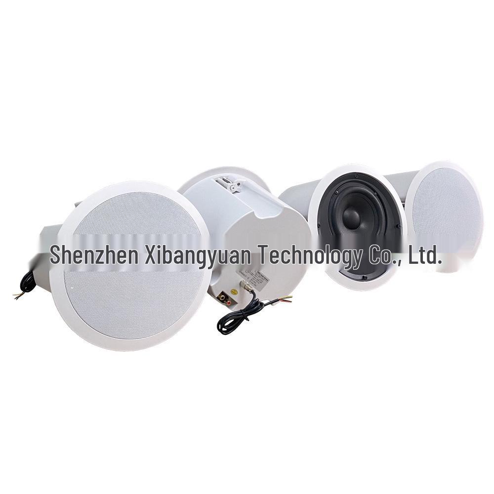 Wireless Ceiling Speaker with App Control and Multi-Room Stereo Sync