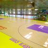 PVC Sports Flooring for Badminton and Pickleball