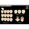 Kotobukiya Megami Device M.S.G 06 Face Set for Sumeragi, Skin Color D, Approximately 19mm Tall, 1/1 Scale Plastic Model