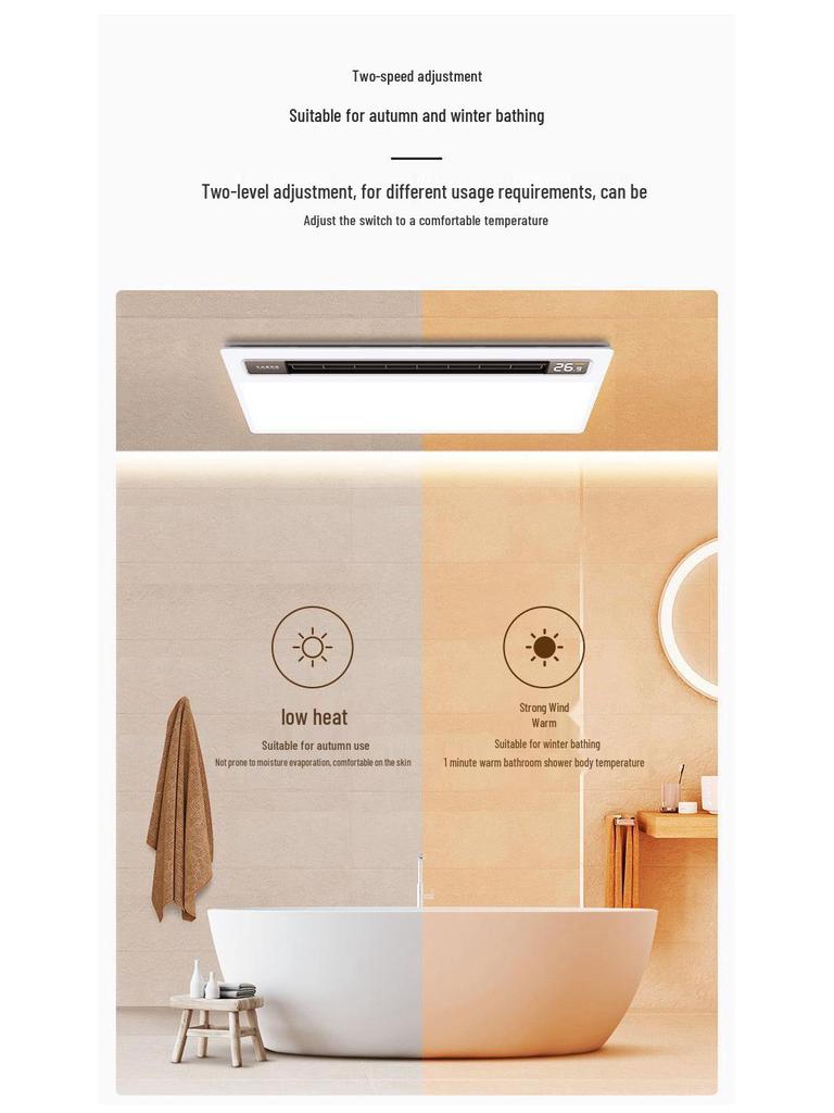 Shenhua Smart Recessed Ceiling Bath Heater with Light and Dual Motor Blades