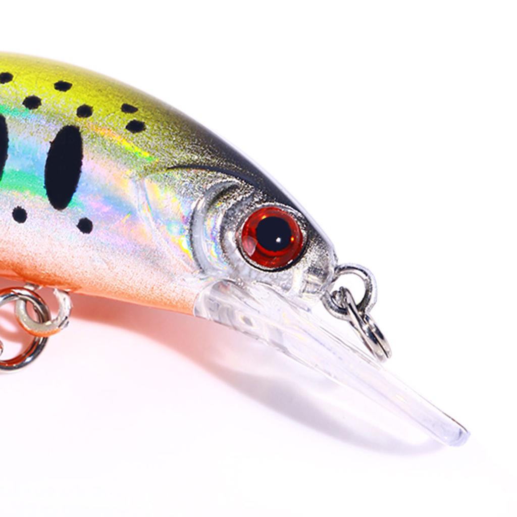 1Pcs Fishing Lure 6cm/5.5g Floating Artificial Hard Bait Bass Wobblers Lures Crankbait Hooks Tackle