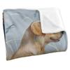 JQ Licensing Jg-Jp Silky Labrador Hunting Supersoft Blanket