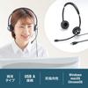 Sanwa Supply USB Headset MM-HSU20BK
