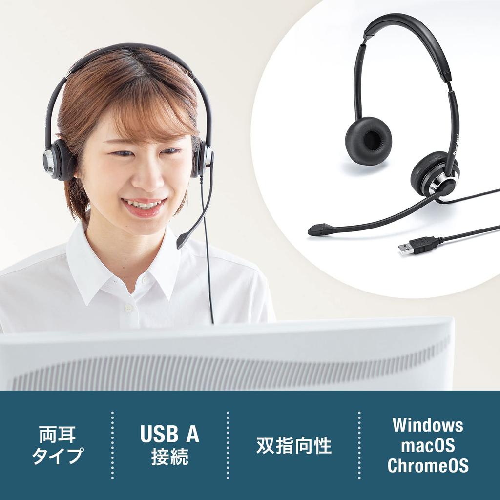 Sanwa Supply USB Headset MM-HSU20BK