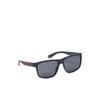 Polaroid C Sunglasses
