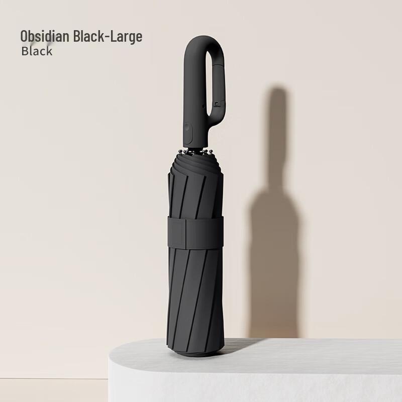 Fully Automatic 10-Rib Business Travel Umbrella