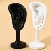 Ear Shaped Ear Studs Organizer Holder Rack Portable Earring Showcase  for Earrings