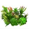 1 Stück Kleine Künstliche Sukkulenten Falsche Lotus Lithops Blume PVC Sukkulenten Hochzeitsparty Heim Blumendekoration