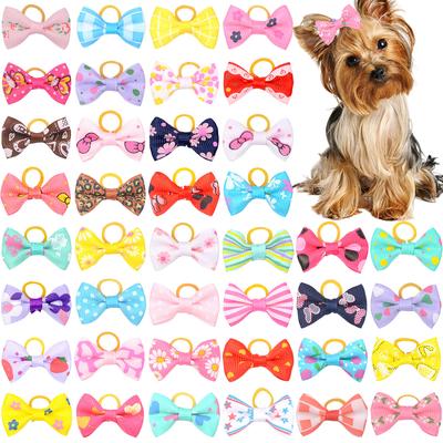 Ropa y calzado – Accesorios para perros