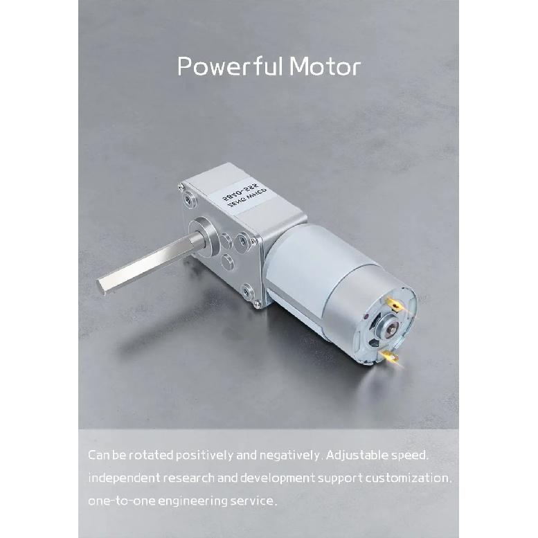 5840-555 Miniature Worm Gear Reduction DC Motor 12V-24V Single-Direction Long D-shaped Shaft Reversible High-torque Geared Motor
