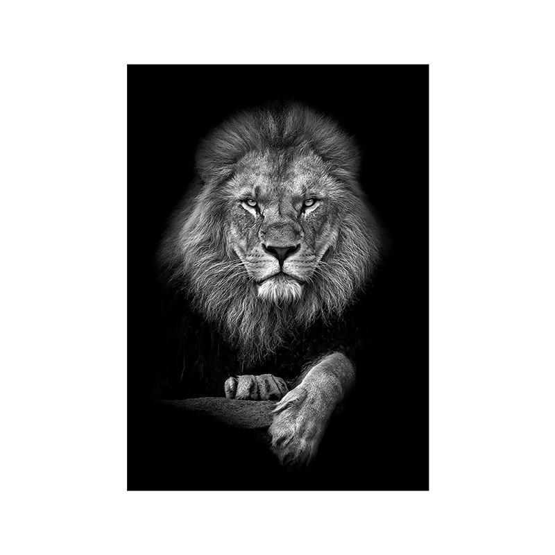 Black White Animal Wall Art Prints Unframed Modern Wild Lion Tiger Gorilla Posters for Living Room Bedroom Decor