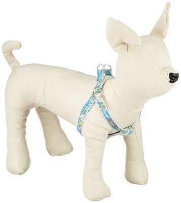 Petio Vispo Circus Harness Blue XXS Size