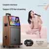 Soaiy SA-K10S Portable Outdoor KTV & Instrument Speaker
