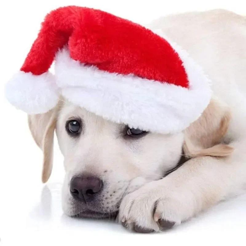 Dog Christmas Hat Santa Costume Plush Cap for Small Dogs Puppy Party Festival Photo Props Pet Clothing Christmas Accessories