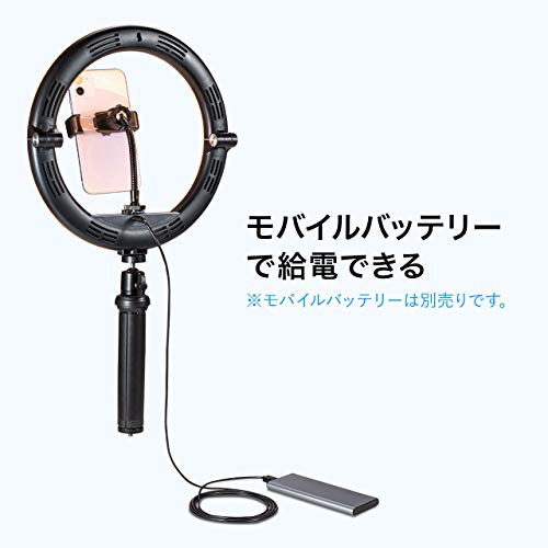 SANWA SUPPLY Webcam Stand with LED Light, 1/4-inch Screw, for Telework, CMS-STN2BK